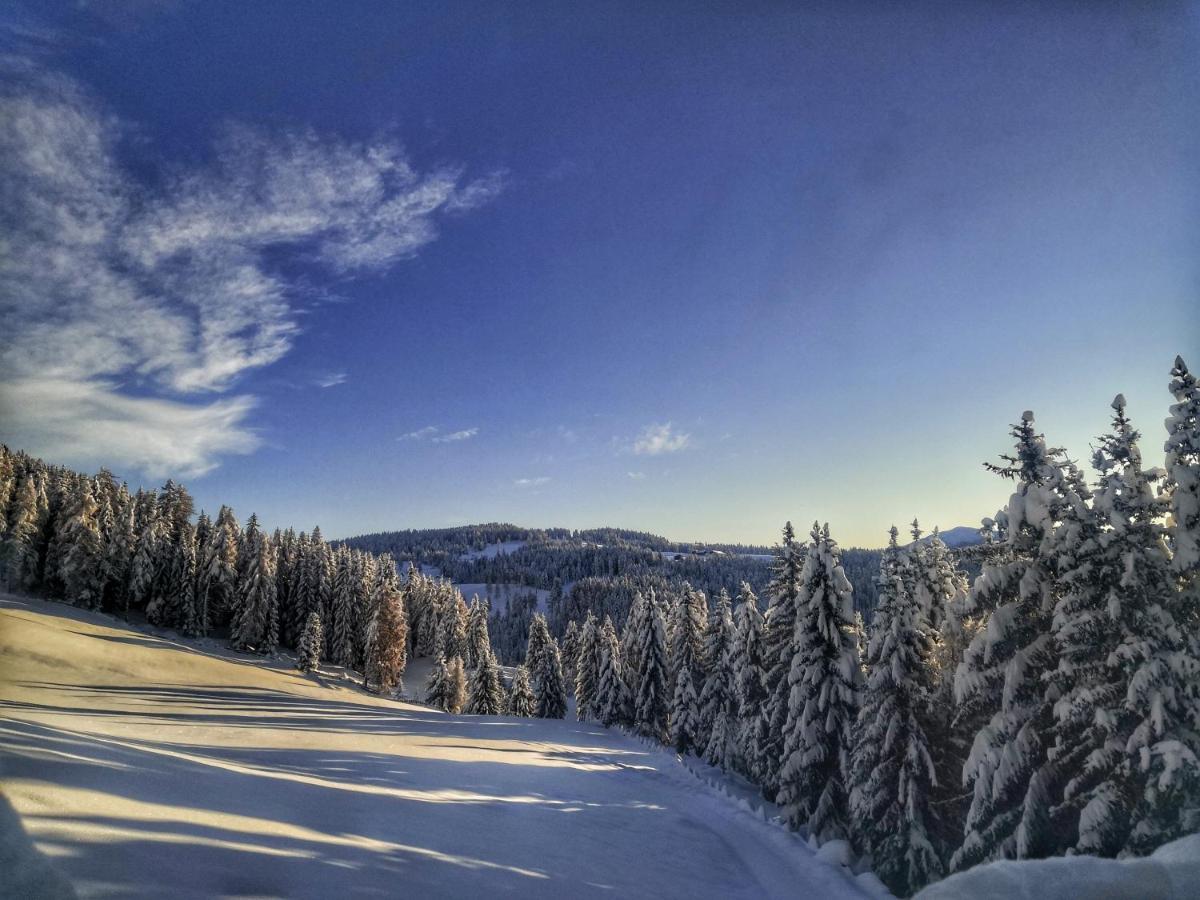 Oberhauser Huette Rodenecker - Luesner Alm Лузон Екстер'єр фото